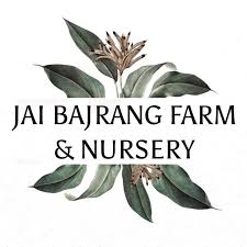 Jay bajrang farm logo