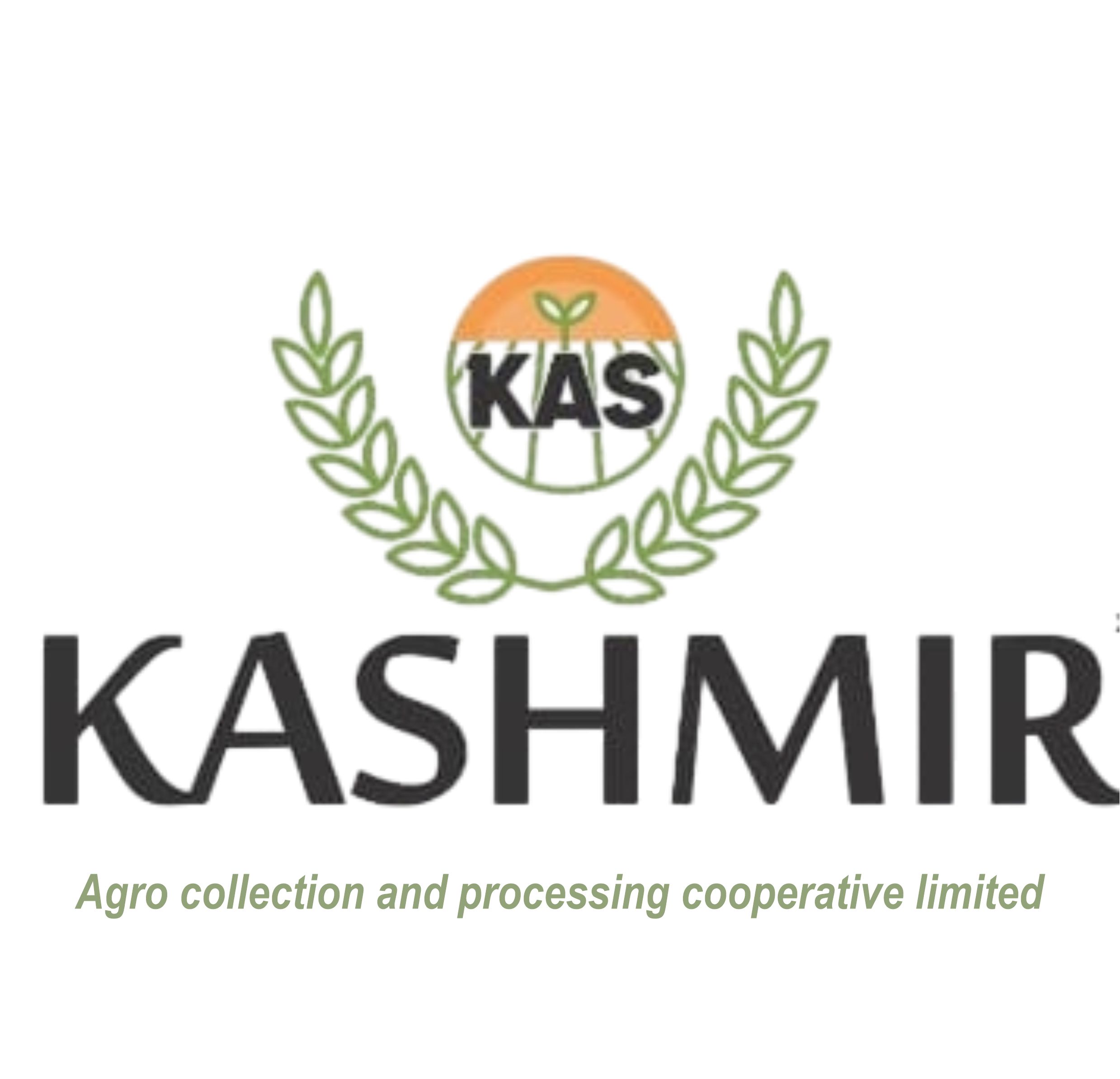 The Kashmir Agro collection and processing cooperative limited logo