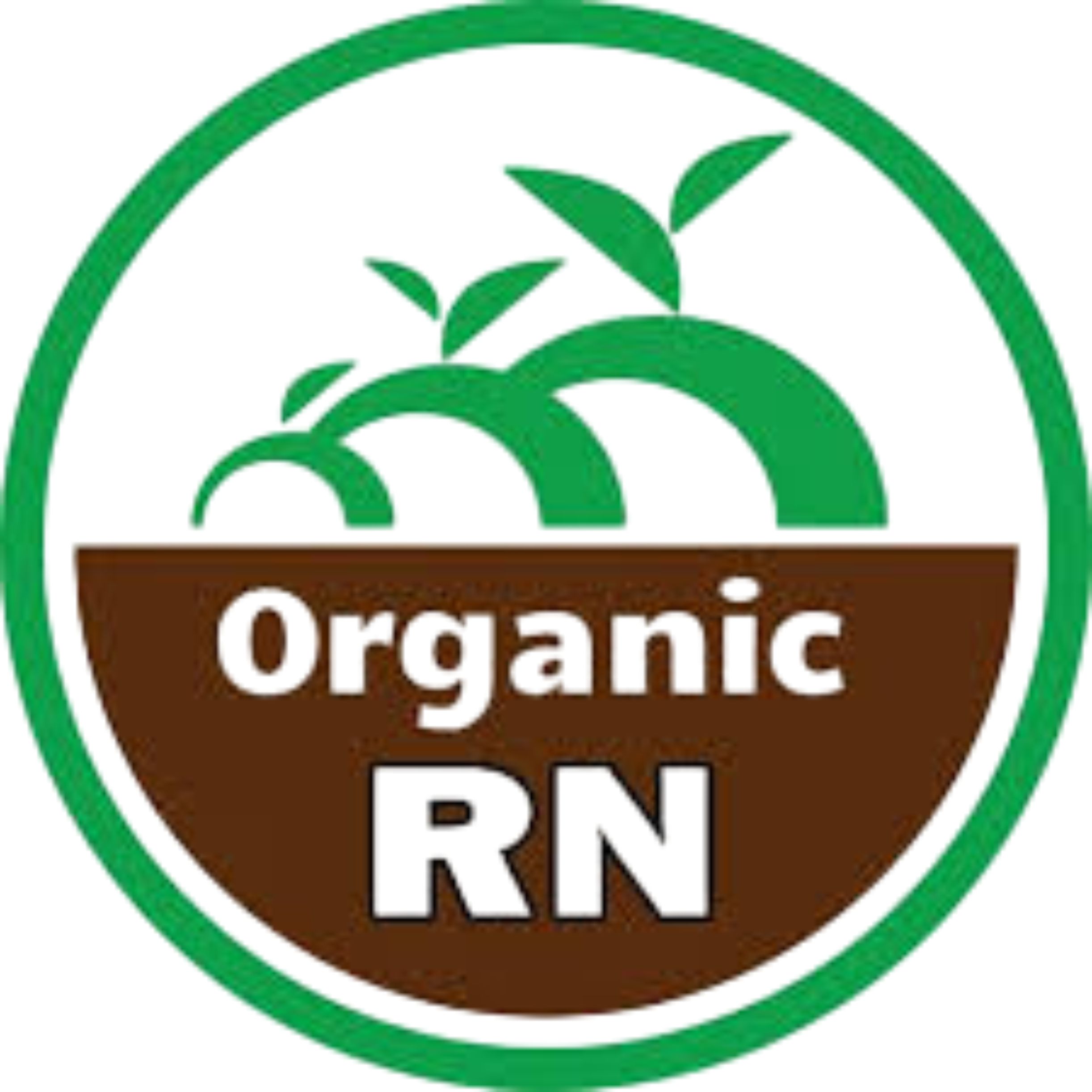 RNREDDY ORGANIC logo