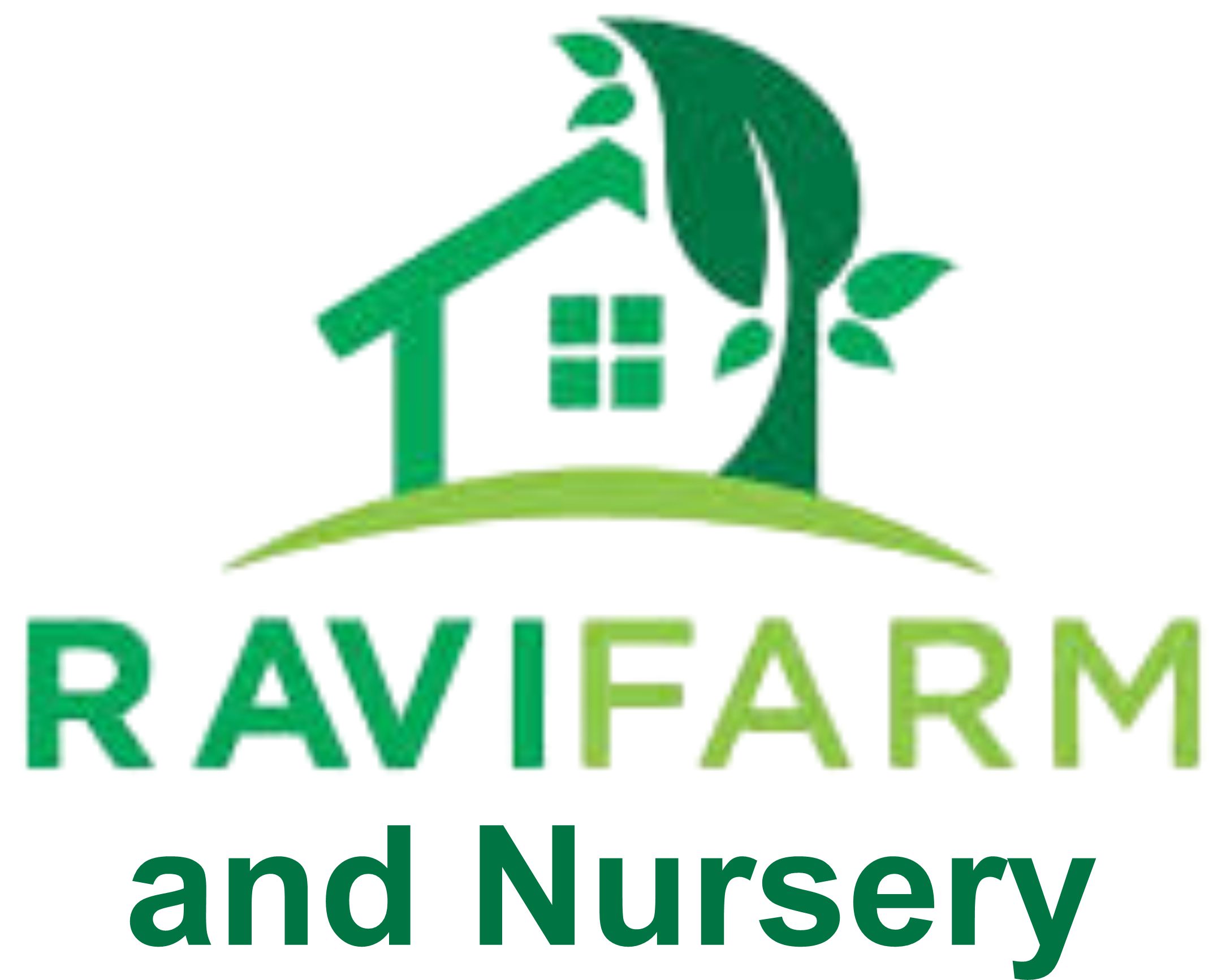 Ravi farm and nursery logo