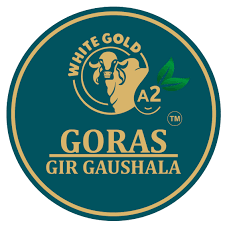 Vanrajsinh Dilipsinh Chauhan