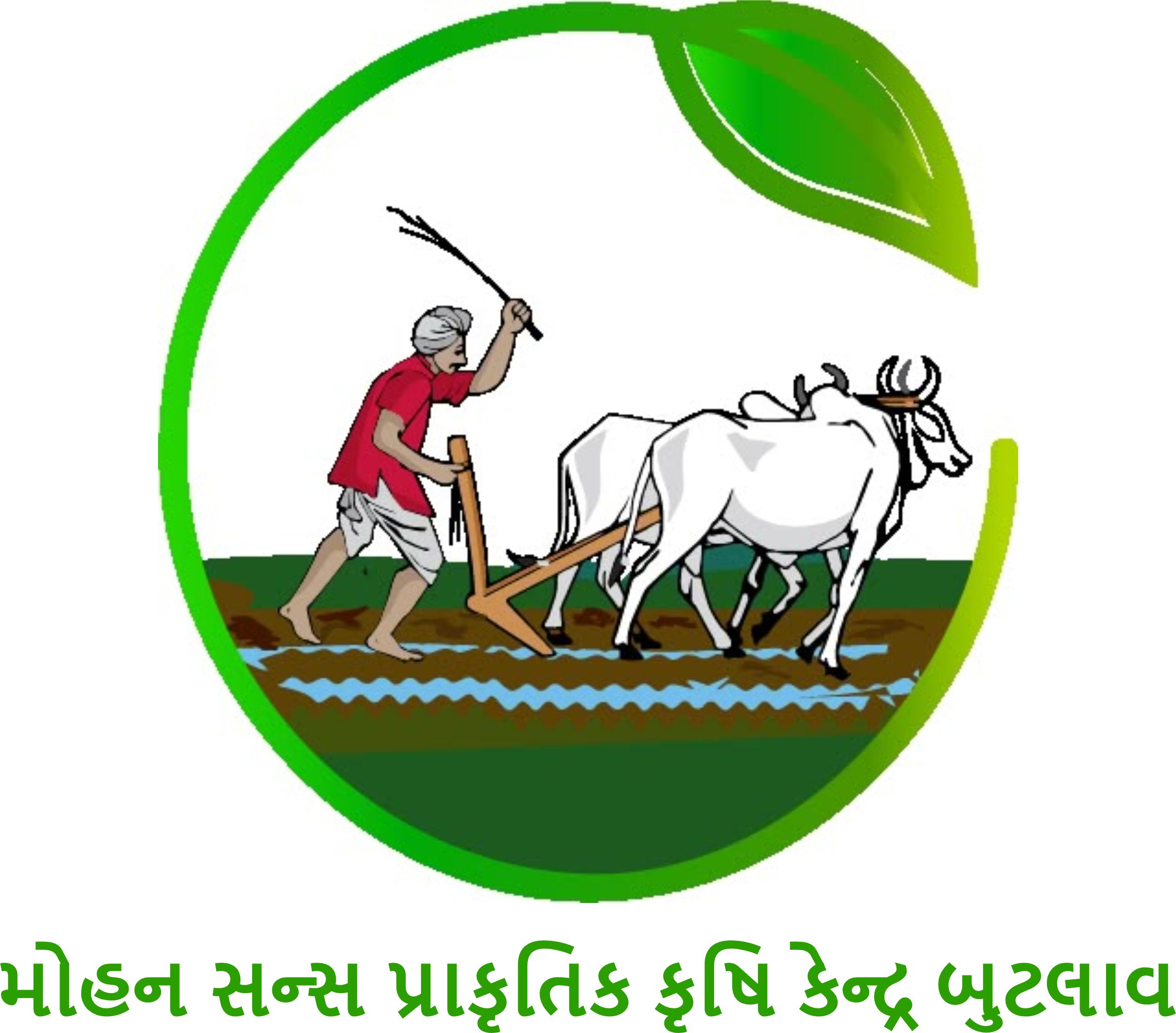 રોબિન પટેલ