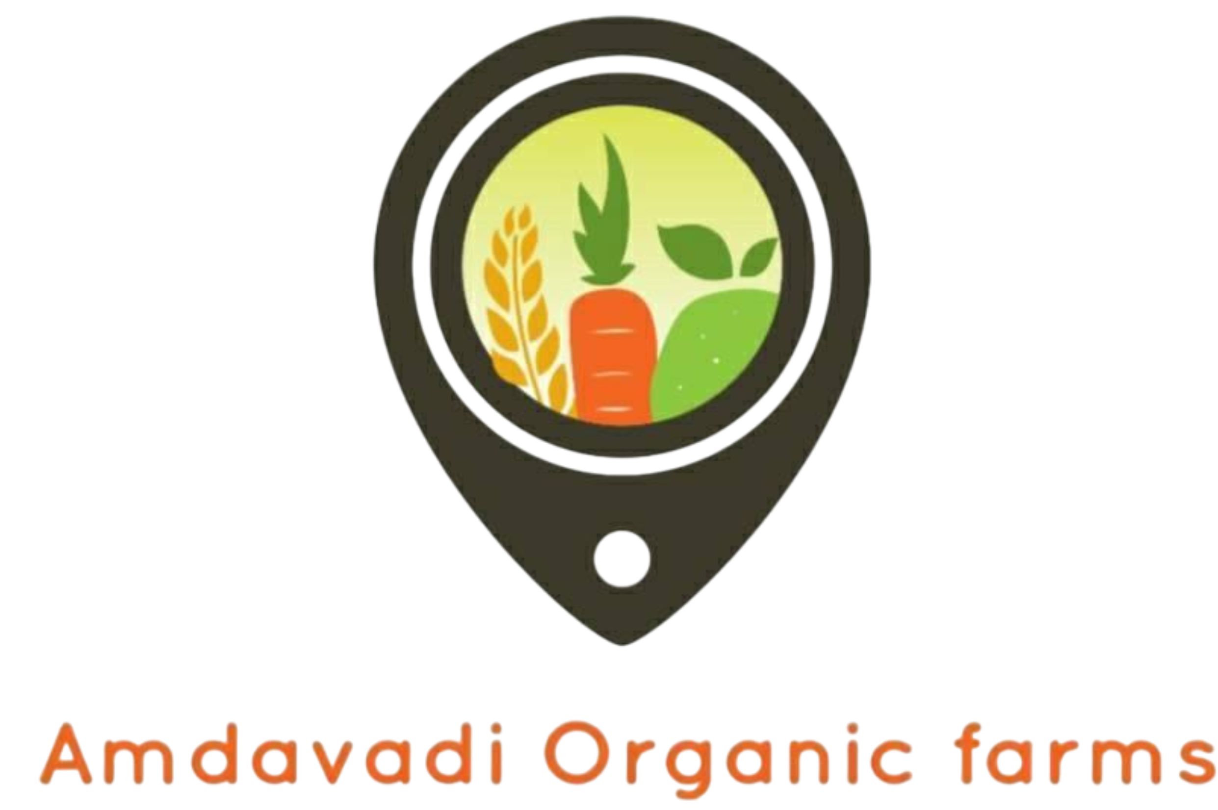 Ambavada Organic Farm logo