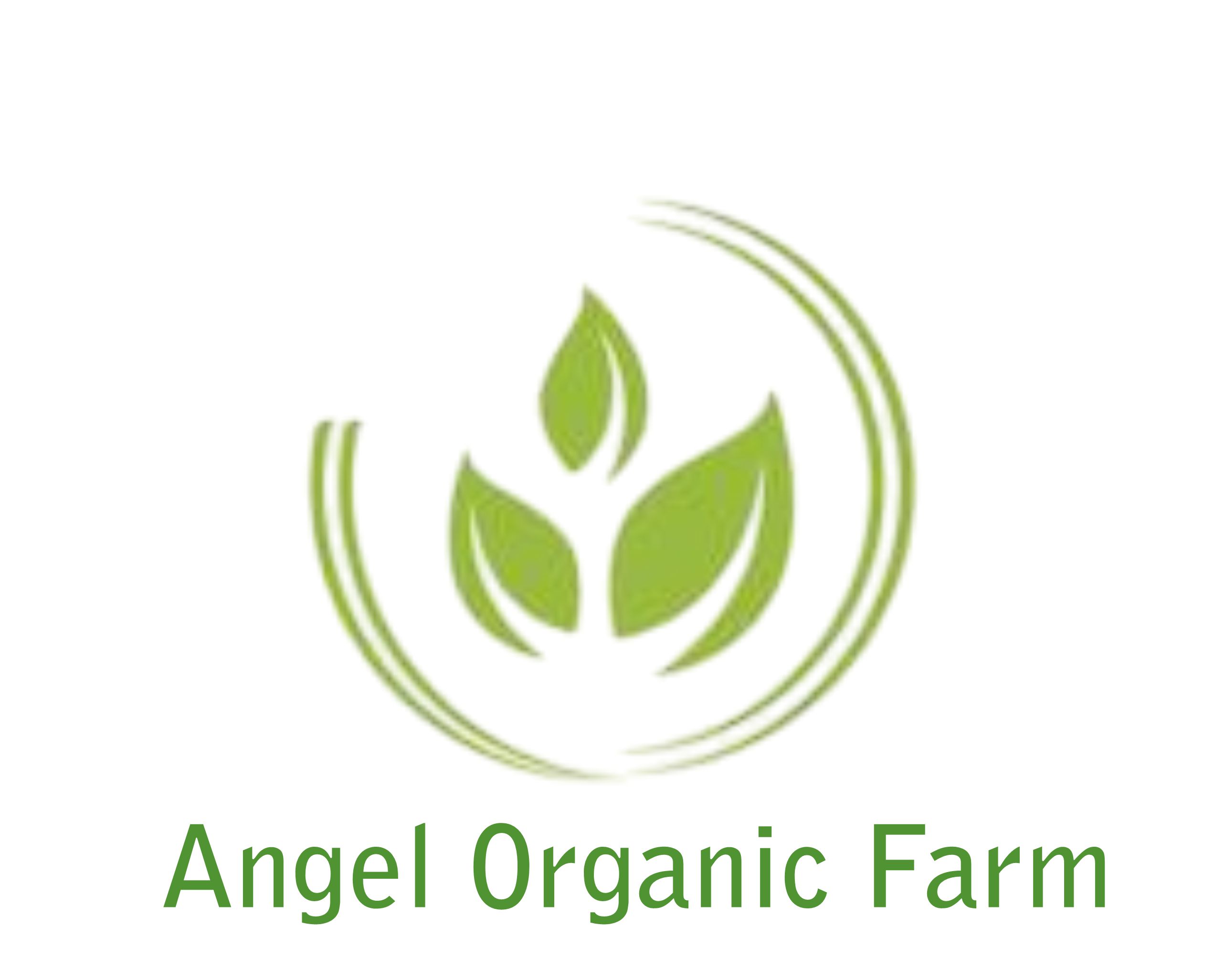 Rakesh Dhansukhlal Parekh