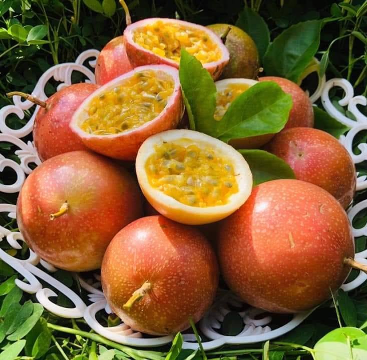 OM NATURAL FARM logo