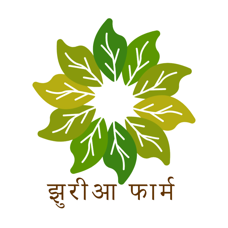 Pankaj Om prakash Jhuria