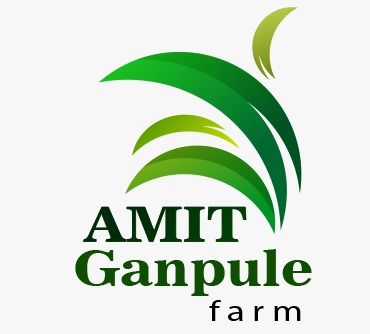 Amit Ganpule