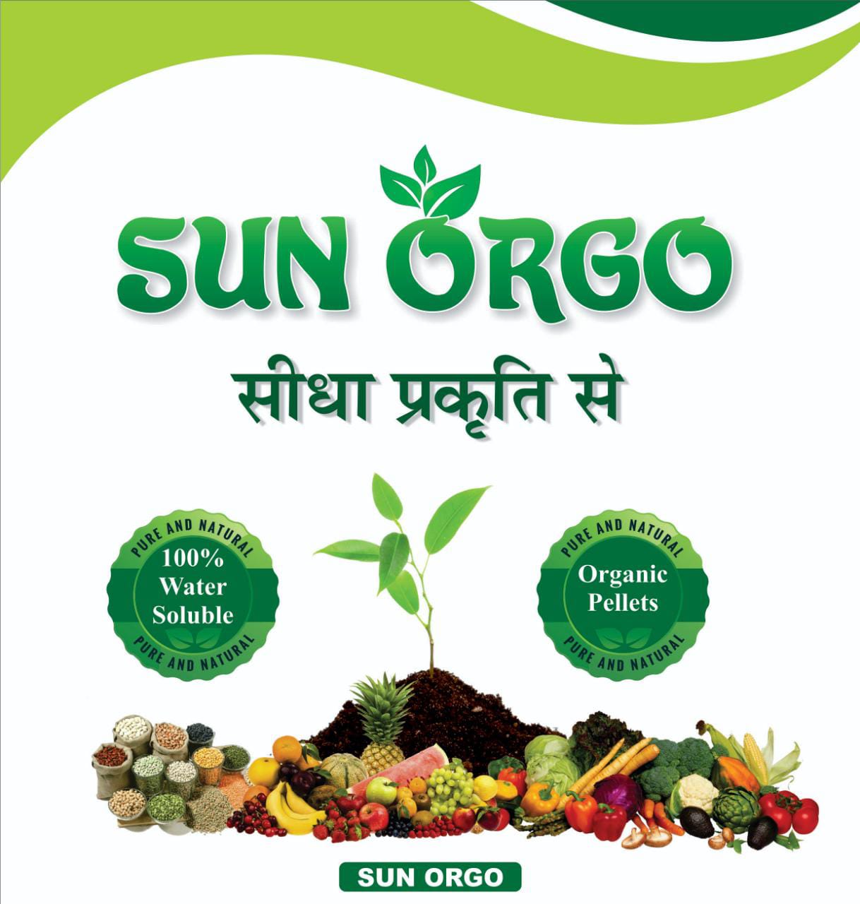 RINABEN RAJESHBHAI PANELIYA