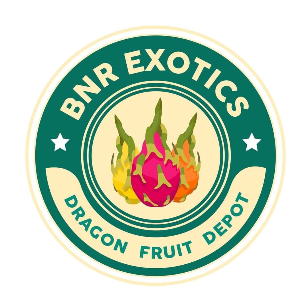 BNR EXOTICS logo