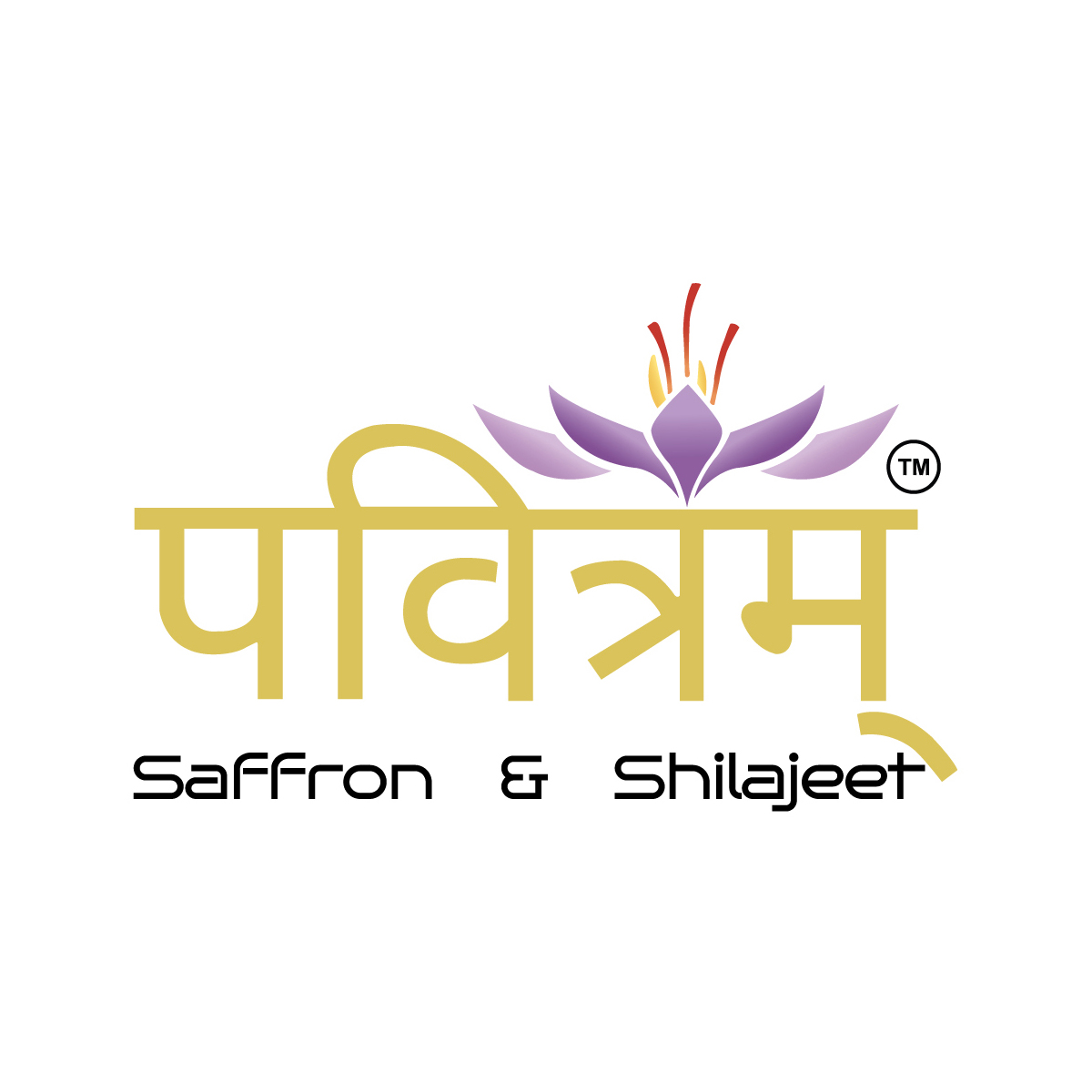 Pavitram enterprises logo