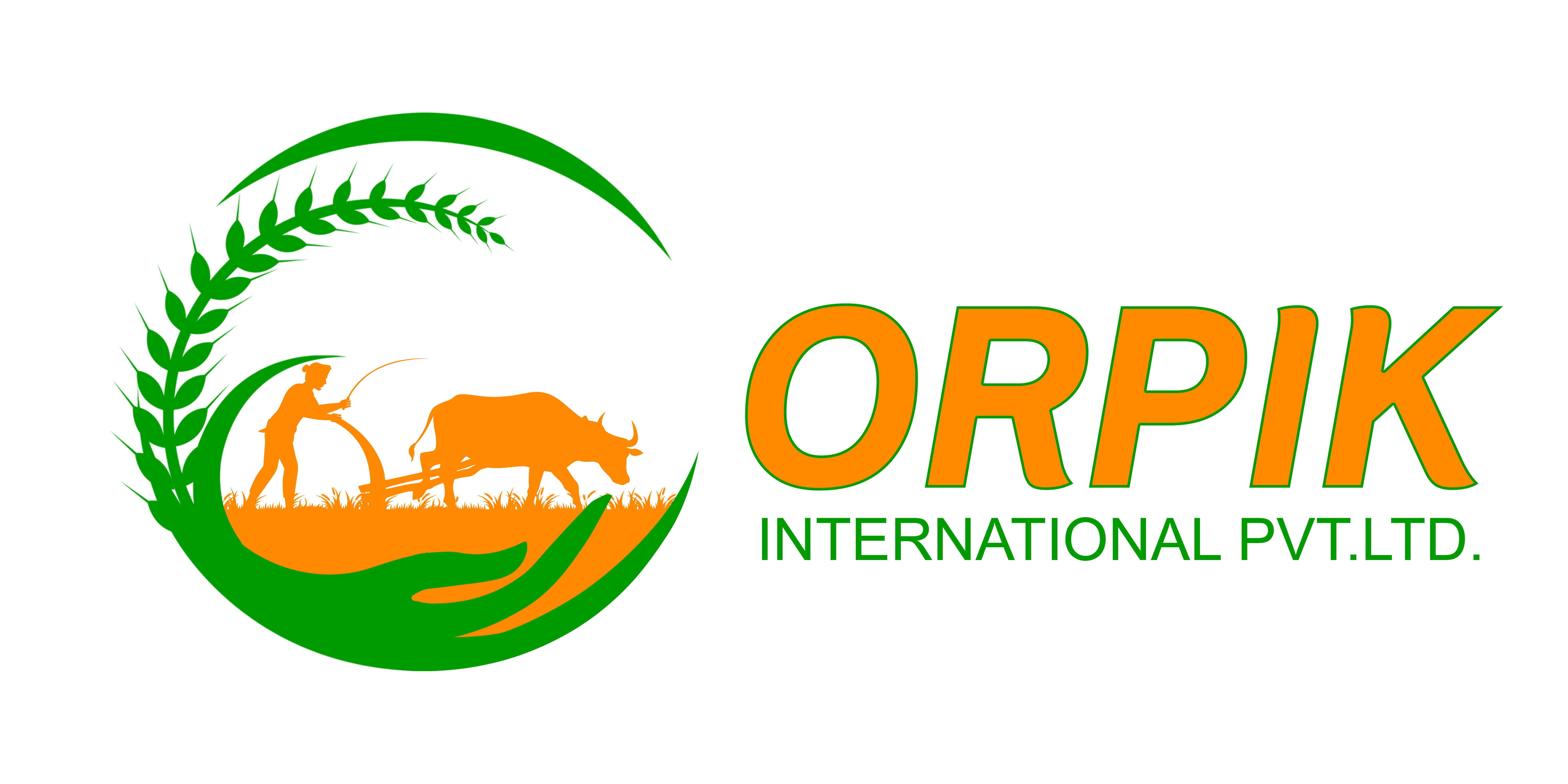 Orpik International Private Limited logo