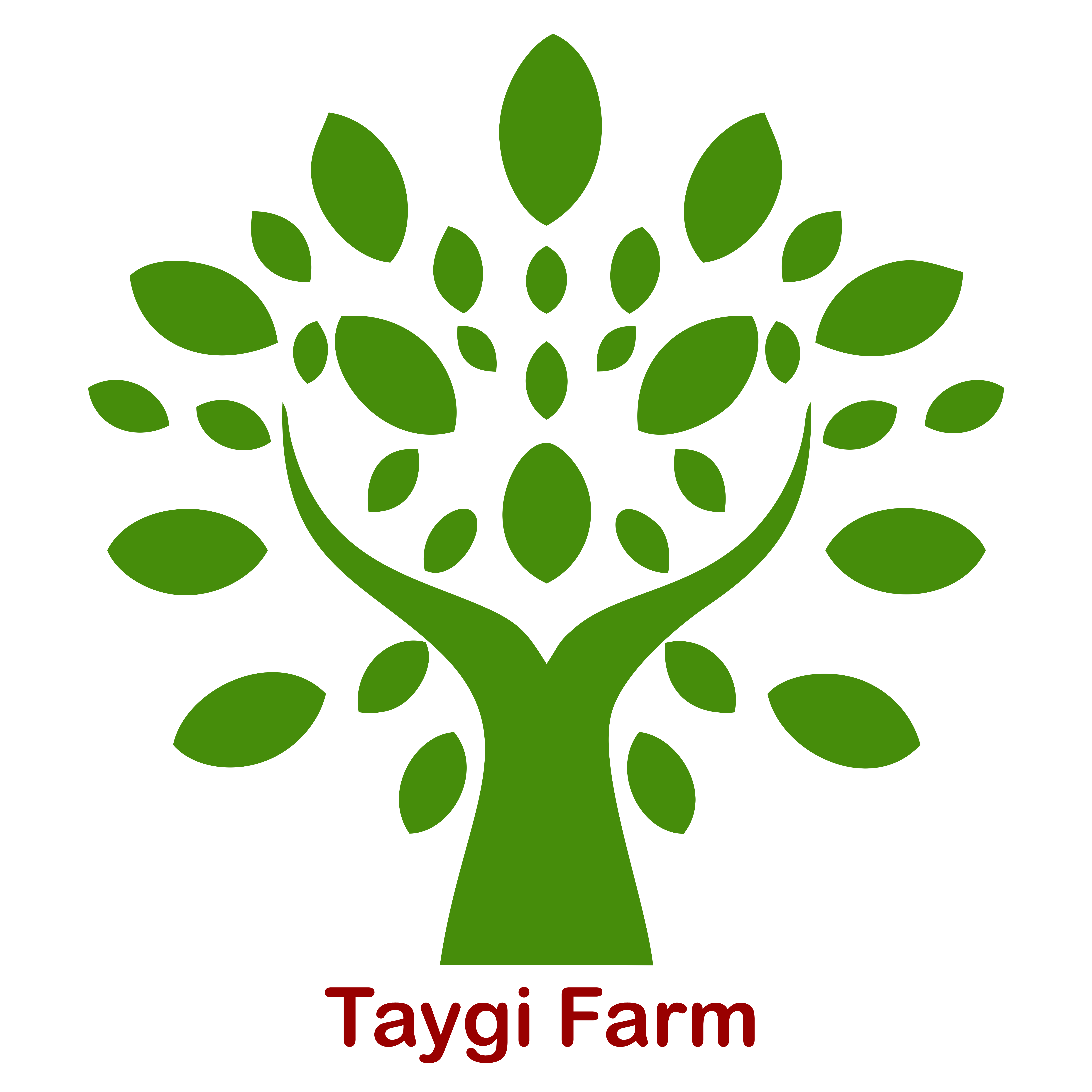 taygi farm logo