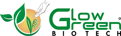 GlowGreen Biotech logo