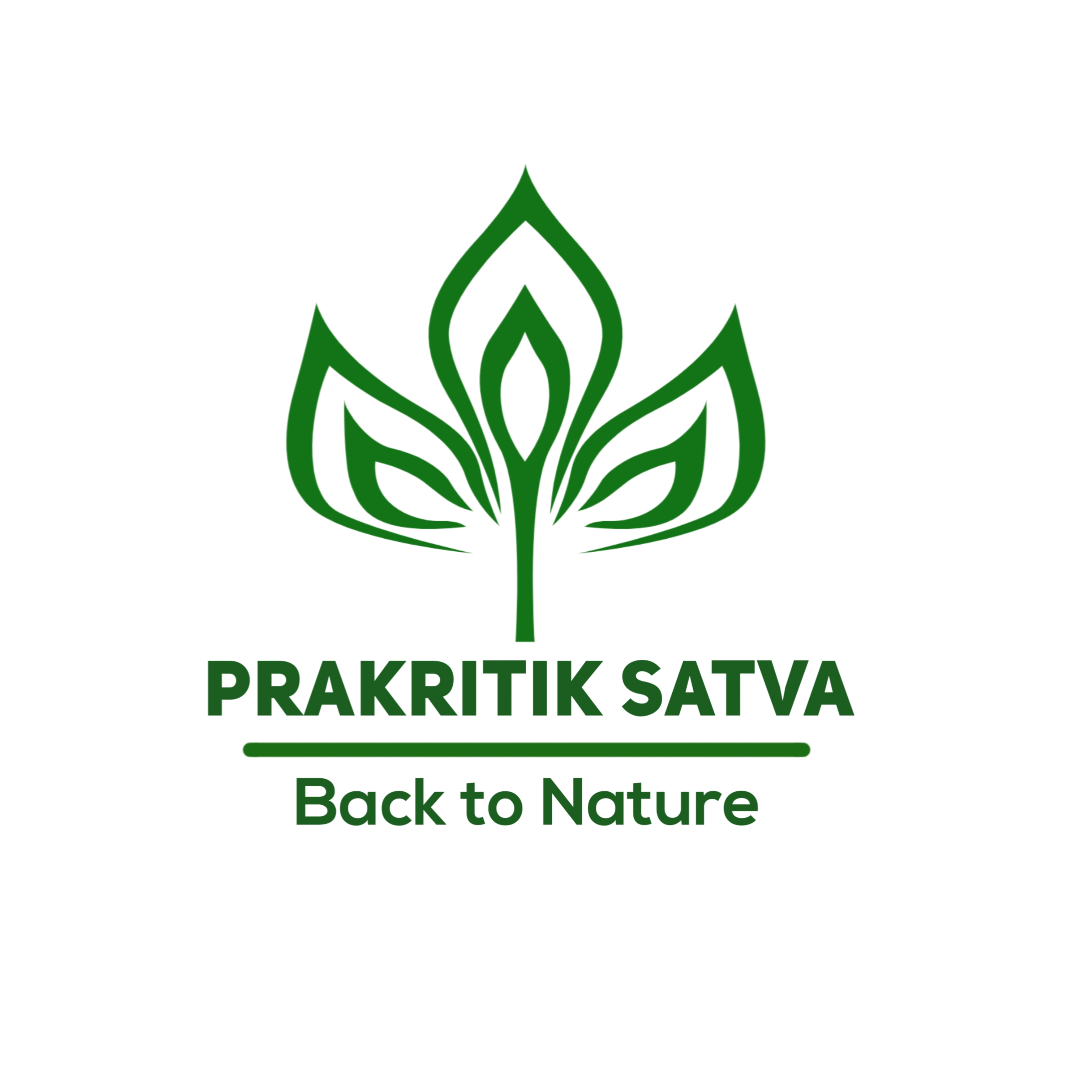 PRAKRITIK SATVA ORGANIC FOOD logo